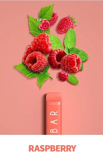 Elf Bar NC600 Raspberry